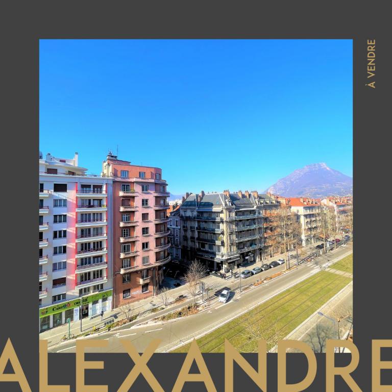ALEXANDRE - Photo 1